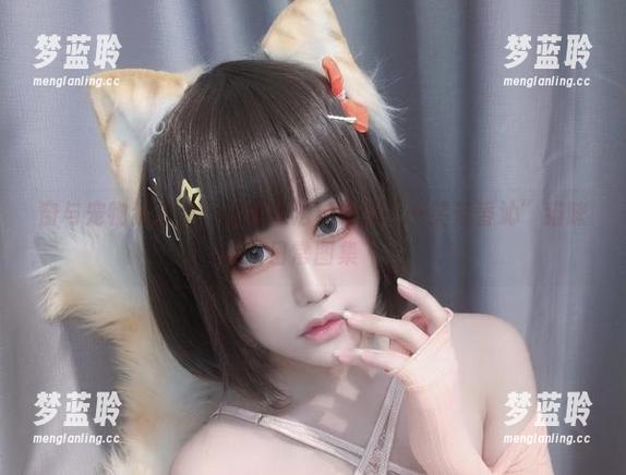 窗与宠物猫合集：让你无法自拔的“一笑芳香沁”猫咪日常图集
