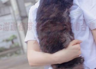 疯猫ss谢谢你带来的最新旗袍合集，果然太赞啦！