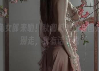 透明兔女郎来啦！秋和柯基的套图分享，别走，我有话要说