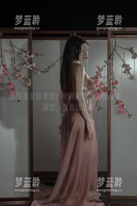 透明兔女郎来啦！秋和柯基的套图分享，别走，我有话要说