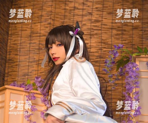 兔女郎的起司块wii图包，内容比你的脑洞还要丰富